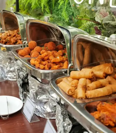 Chicken roll, samosa, wings image